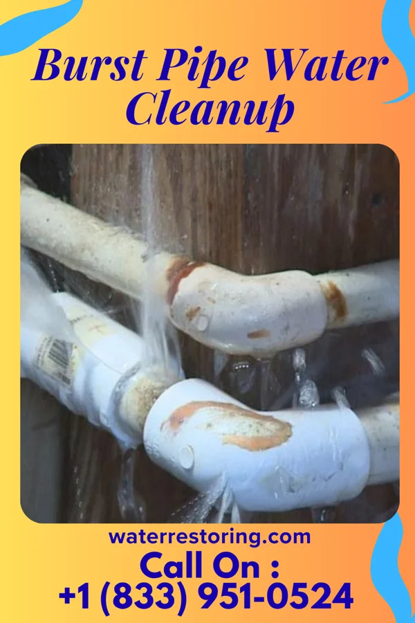 Burst Pipe Water Cleanup in New Madison, OH