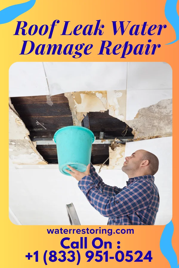 Roof Leak Water Damage Repair in New Madison, OH