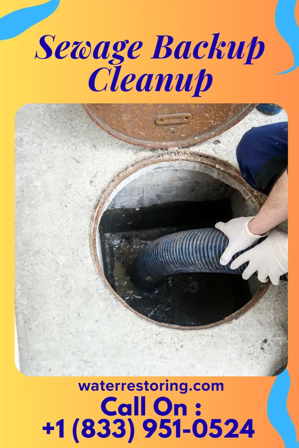 Sewage Backup Cleanup in New Madison, OH