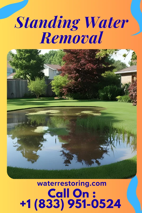 Standing Water Removal in New Madison, OH